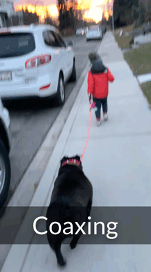 animated gif of Bryan's son jogging with dog as example of coaxing, and then the dog refusing to run despite the leash pulls as an example of forcing