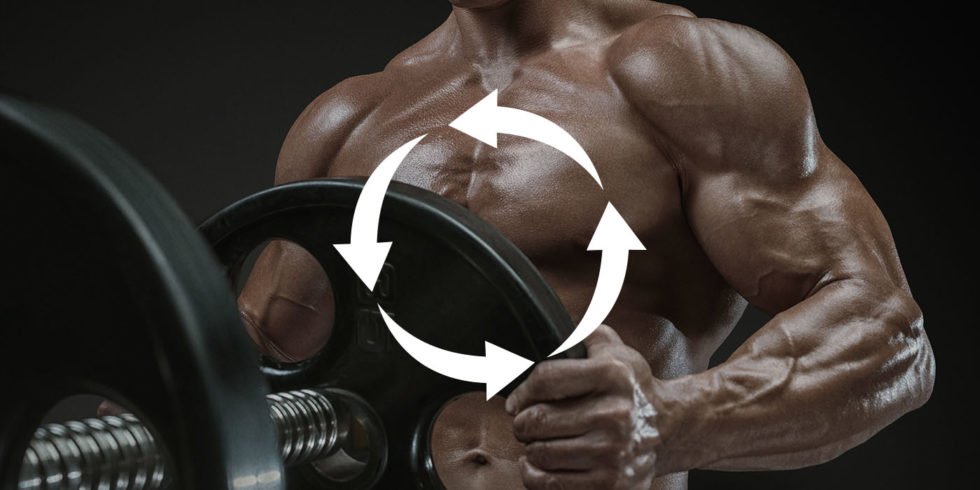 should-i-cycle-calories-or-eat-more-on-training-days-bryan-krahn
